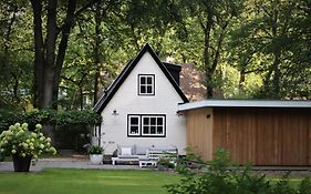Forest Inn